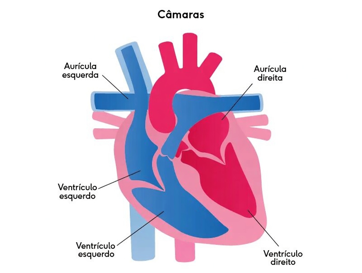 5 Medicamentos Comuns que Podem Afetar a Saúde do Coração em Adultos com Mais de 60 Anos: Principais Informações e Próximos Passos