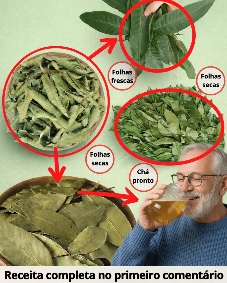 As Quatro Folhas Medicinais: Abacate, Manga, Louro e Goiaba — o Presente da Natureza para o Seu Bem-Estar