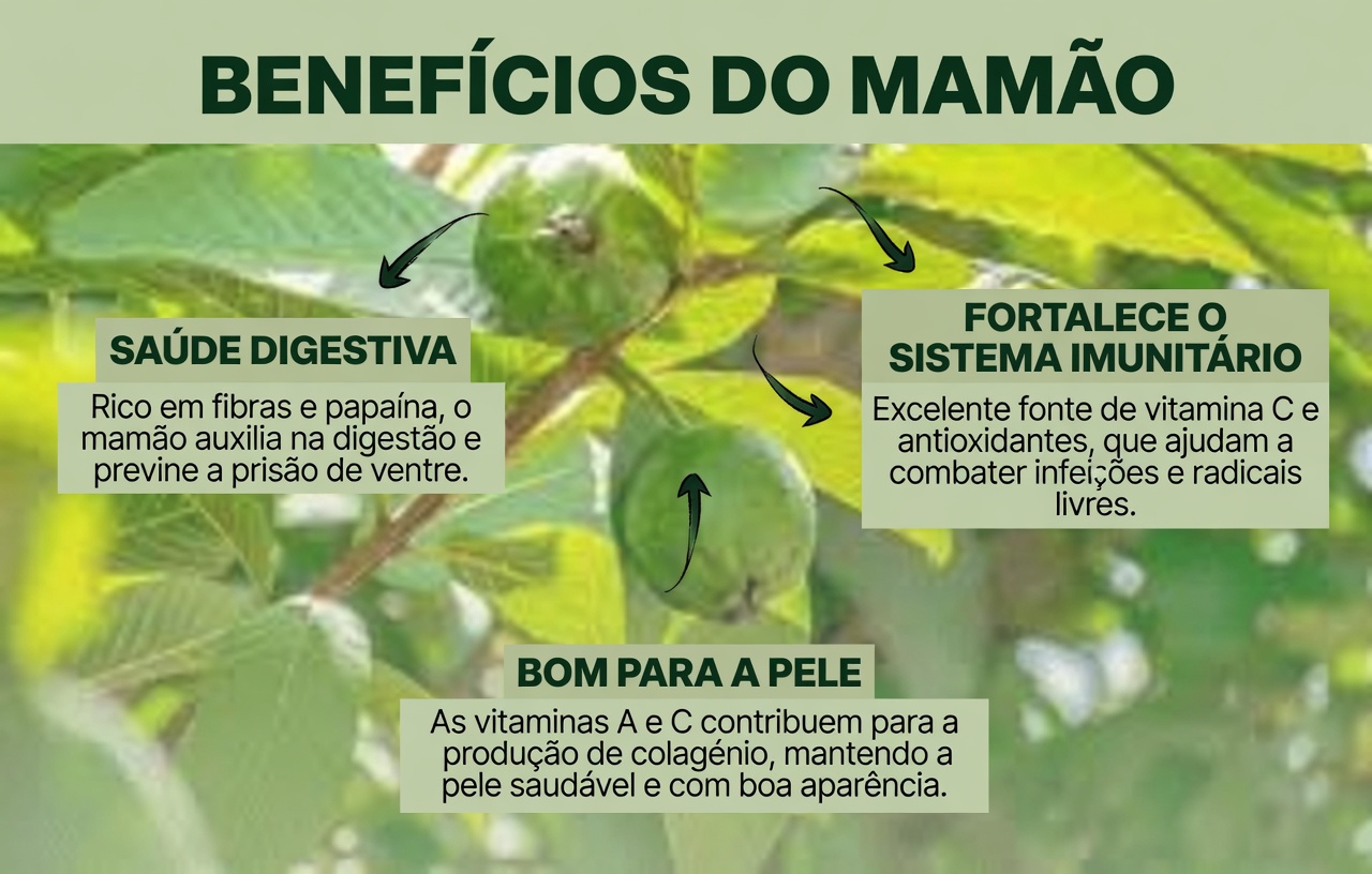 As Quatro Folhas Medicinais: Abacate, Manga, Louro e Goiaba — o Presente da Natureza para o Seu Bem-Estar