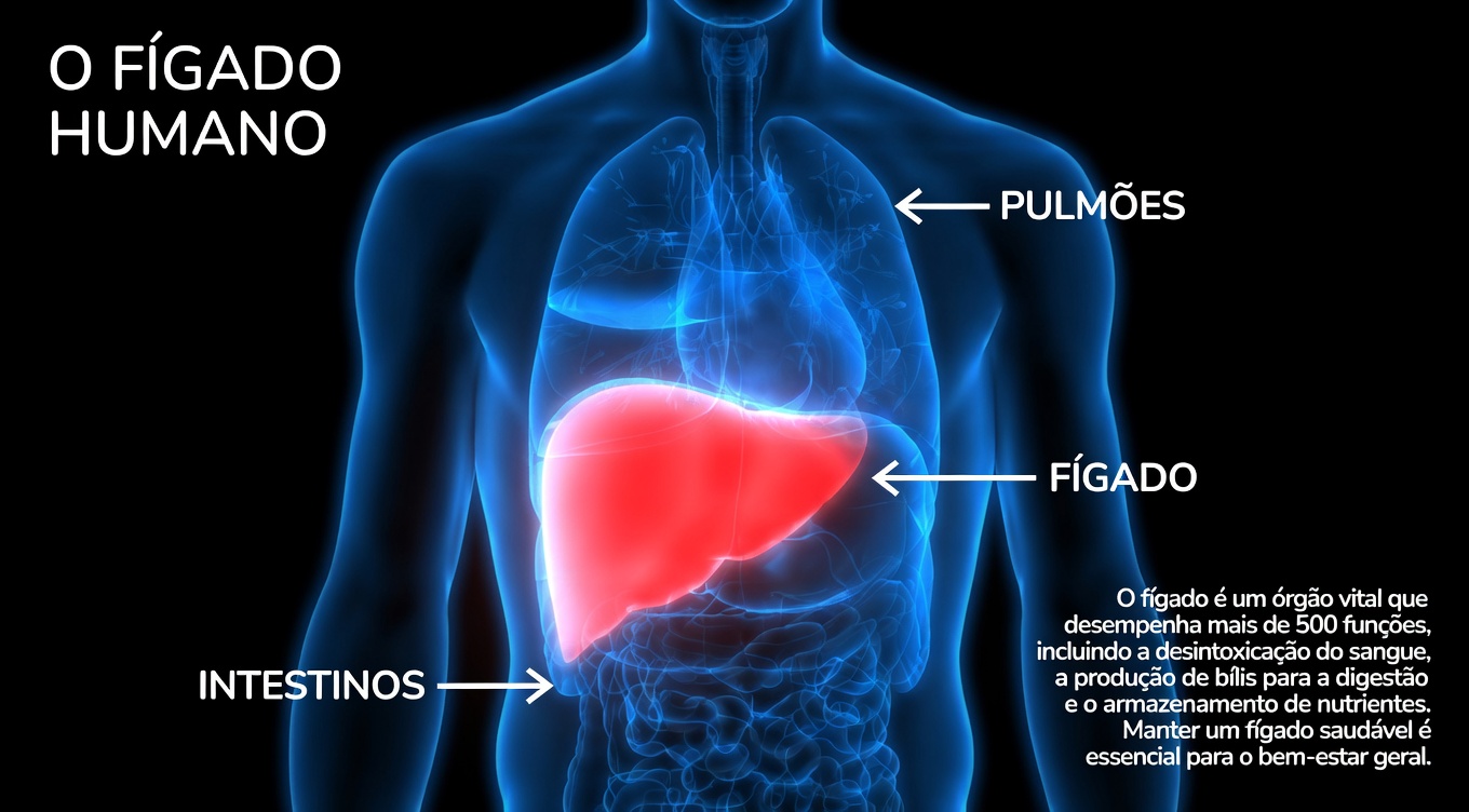 10 Medicamentos Comuns que Podem Potencialmente Afetar a Saúde do Fígado e Sinais Precoces para Monitorar