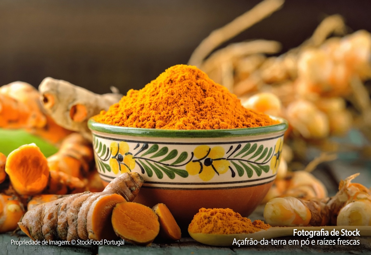 5 Alimentos que o Dr. Daniel Amen Recomenda para Apoiar a Saúde Cerebral com Base em Mais de 250.000 Exames Cerebrais