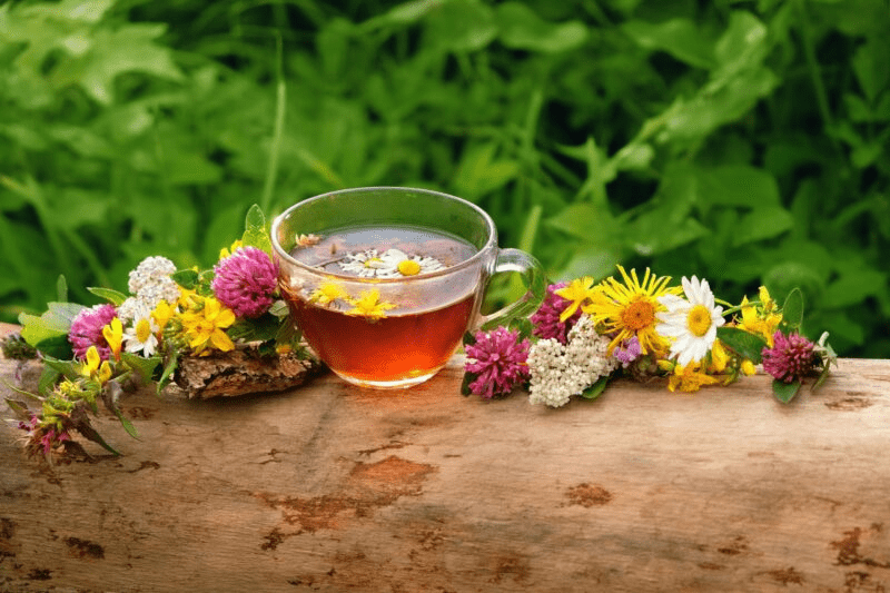 Mais de 60? Descubra 3 chás que podem ajudar a fortalecer os músculos e a mobilidade