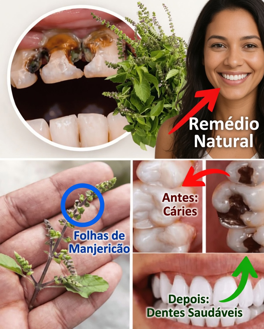 Manjericão Sagrado (Tulsi) para a Saúde Bucal: Remédio Natural para Cáries, Problemas na Gengiva, Mau Hálito e Dentes Mais Fortes