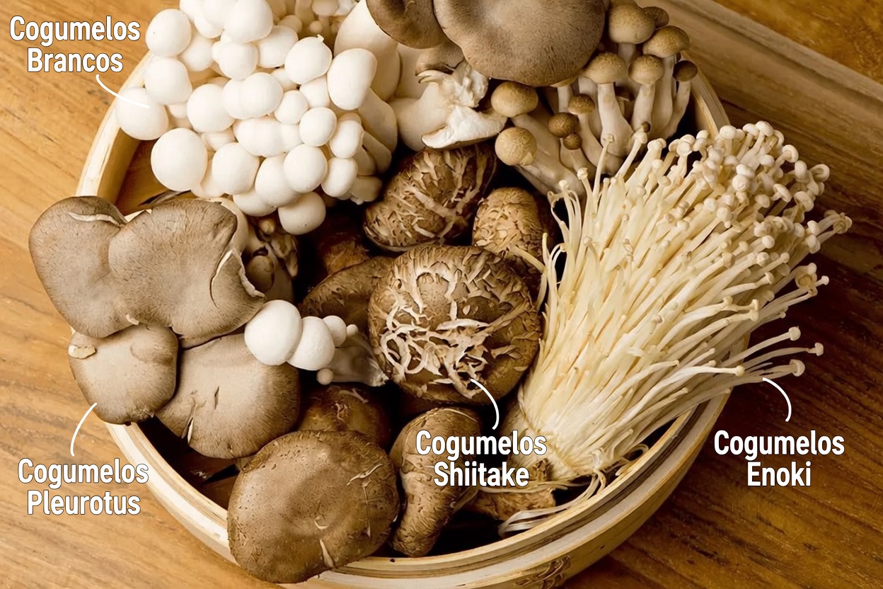 Explore 7 Alimentos Anticancerígenos que Você Pode Incluir na Sua Dieta para Apoiar a Saúde e o Bem-Estar Geral