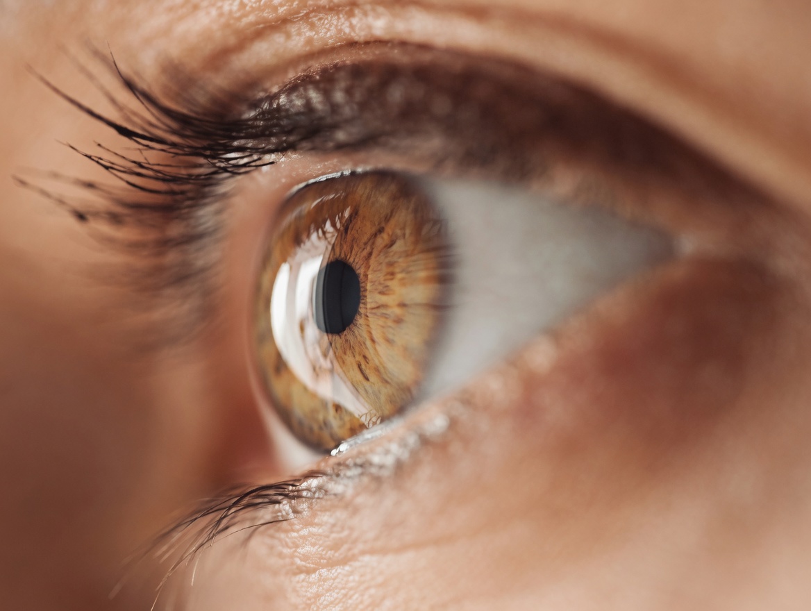 9 Ervas Naturais que Restauram a Visão e Resolvem Problemas Oculares (Seguras para Todos)