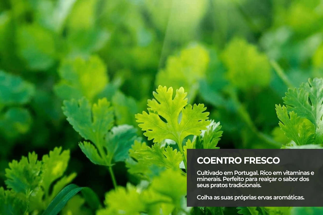 Limpe Naturalmente Seus Rins e o Trato Urinário: Uma Colher de Chá por Dia