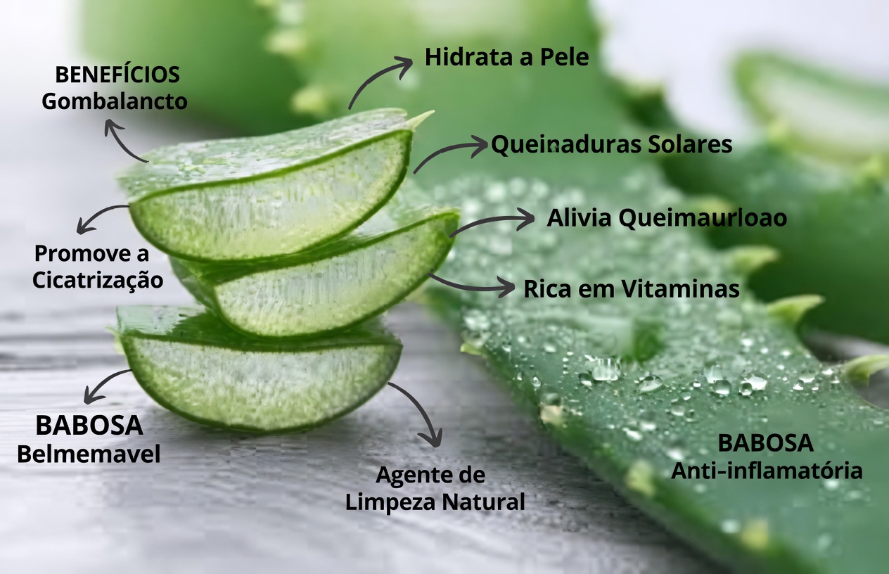 Explorando uma Mistura Caseira Tradicional com Aloe Vera, Vinagre de Maçã e Limão para Alívio do Desconforto de Varizes