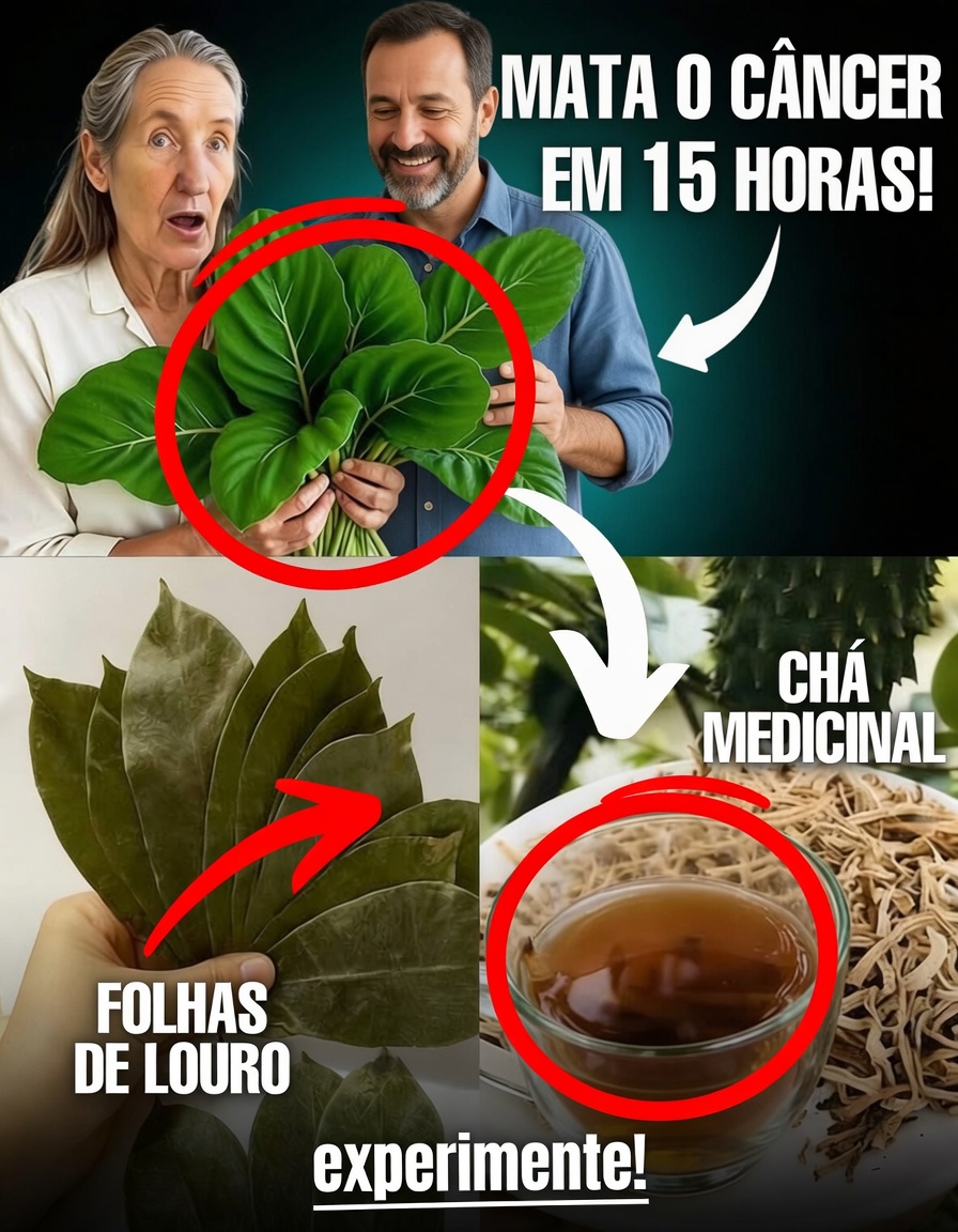 A Folha Que Destrói Células Cancerígenas — Por Que Ninguém Está Falando Sobre Isso