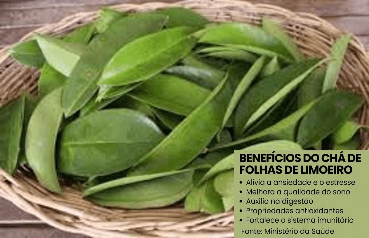 A Folha Que Destrói Células Cancerígenas — Por Que Ninguém Está Falando Sobre Isso