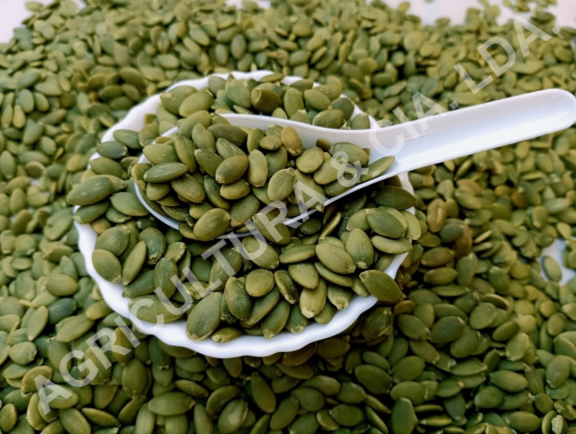 5 Alimentos Poderosos que Ajudam a Manter a Saúde do Cérebro à Medida que Você Envelhece – Insights de Especialistas em Imagem Cerebral