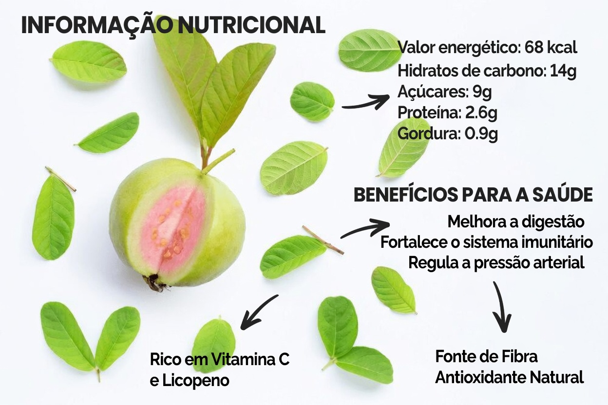 Descubra 17 maneiras surpreendentes de como as folhas de goiabeira podem apoiar sua rotina de bem-estar após os 40 anos – insights para a saúde do dia a dia
