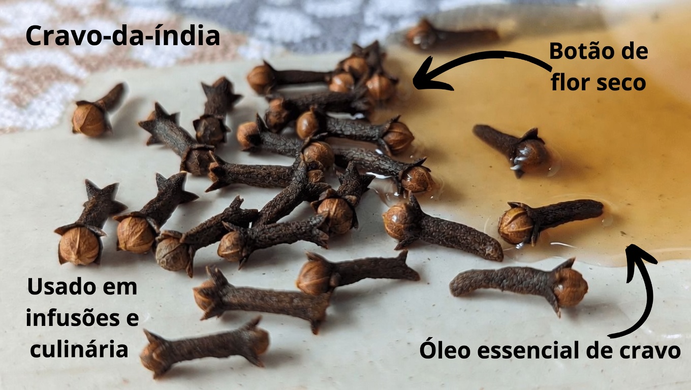 9 Efeitos Colaterais Surpreendentes do Cravo-da-Índia que Você Deve Conhecer