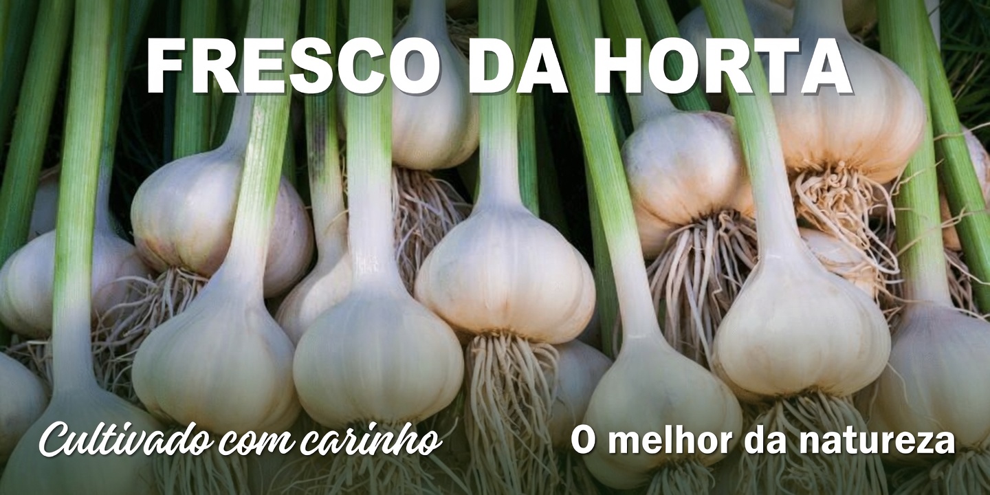 Noz-de-cola amarga, gengibre, alho e limão: explorando um tônico natural tradicional para energia e vitalidade diárias