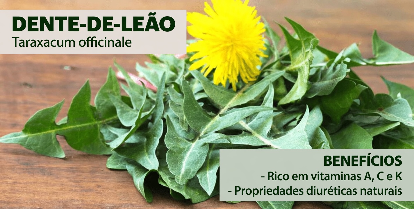 Descubra o Potencial Nutricional do Dente-de-Leão: Uma Planta Comum com um Perfil Nutricional Impressionante