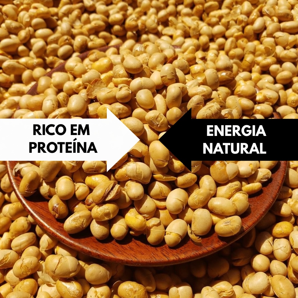 O Alimento Mais Barato para Apoiar a Saúde Óssea Após os 60 — A Maioria dos Idosos Ignora Este Alimento Básico do Dia a Dia!