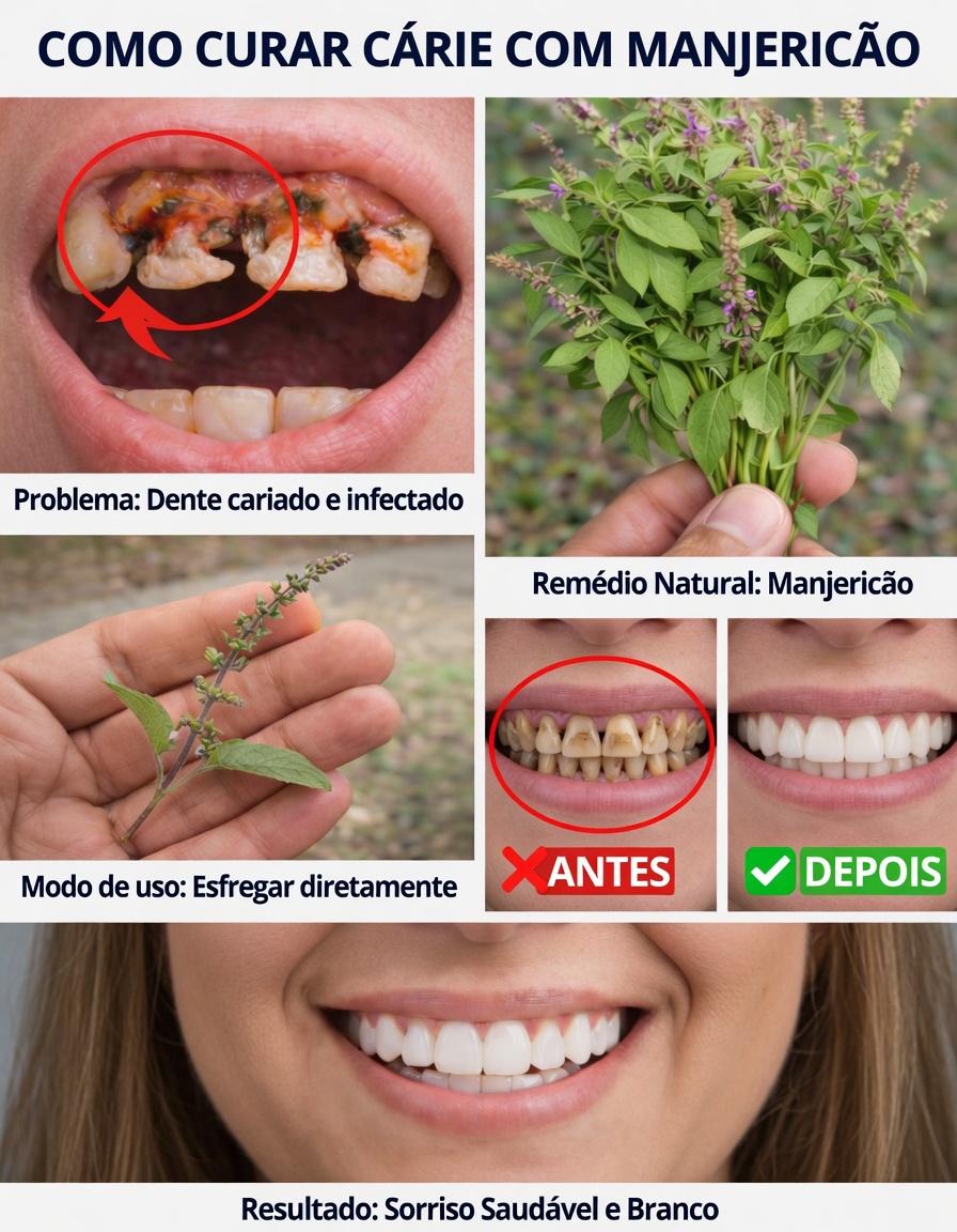Descubra o papel do manjericão-sagrado (tulsi) no apoio à sua rotina de cuidados orais para dentes e gengivas mais saudáveis
