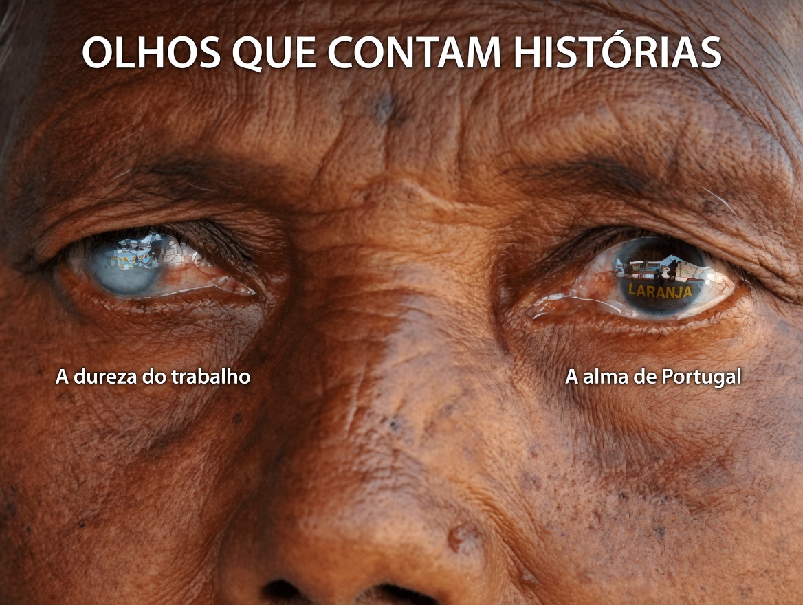 Orégano Orejón: Será que essa erva do dia a dia pode apoiar naturalmente a saúde dos seus olhos?