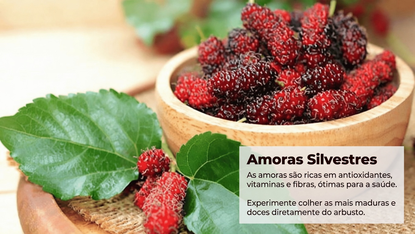 Hábito de Chá de Folhas de Amoreira para Equilíbrio Metabólico: Uma Forma Natural de Apoiar o Açúcar no Sangue, a Pressão e a Circulação