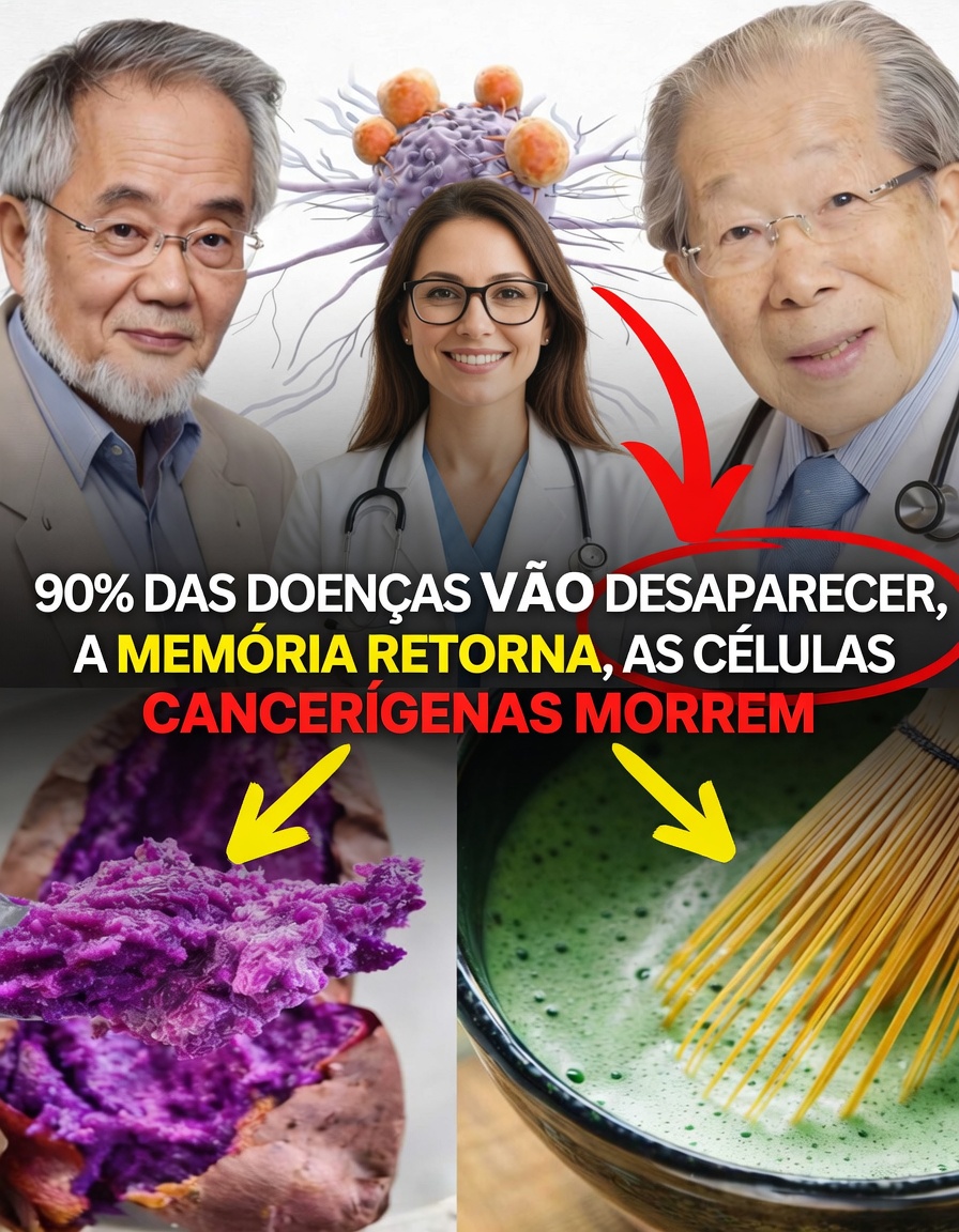 Desvende os segredos dos centenários japoneses: hábitos alimentares diários inspirados em Okinawa para um envelhecimento mais saudável