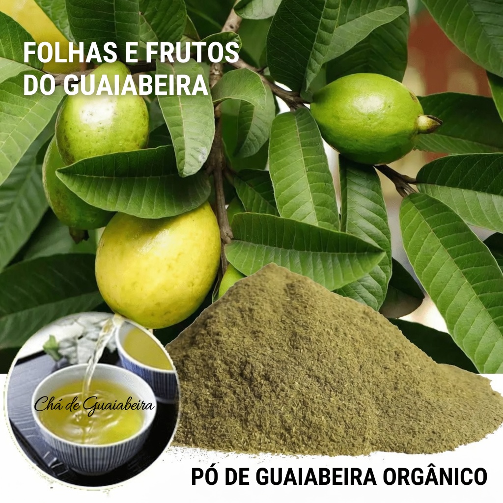 Explorando as folhas de goiabeira: uma opção natural para apoiar a saúde e o crescimento do cabelo