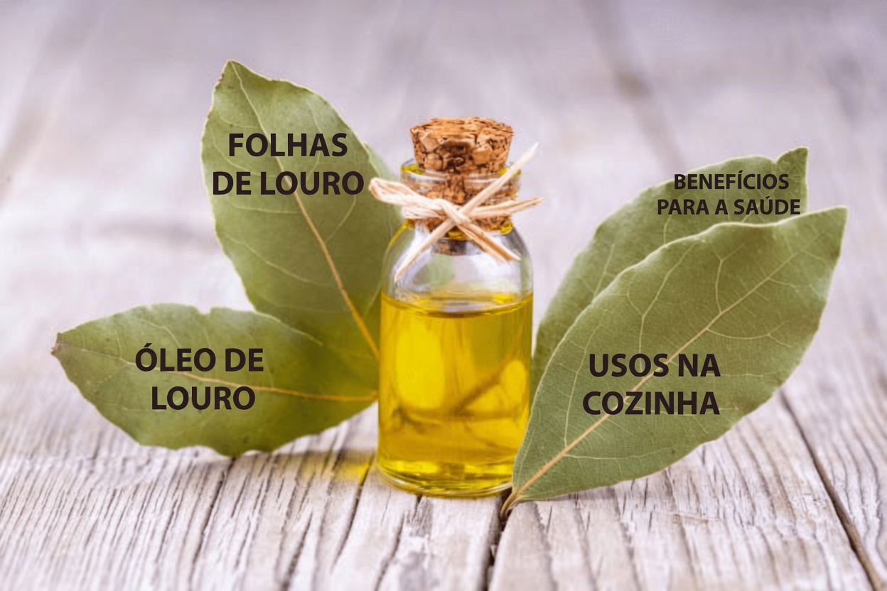 Folha de Louro: Esta Erva Comum da Cozinha Pode Ajudar a Manter uma Pele com Aparência Mais Saudável à Medida que Você Envelhece?