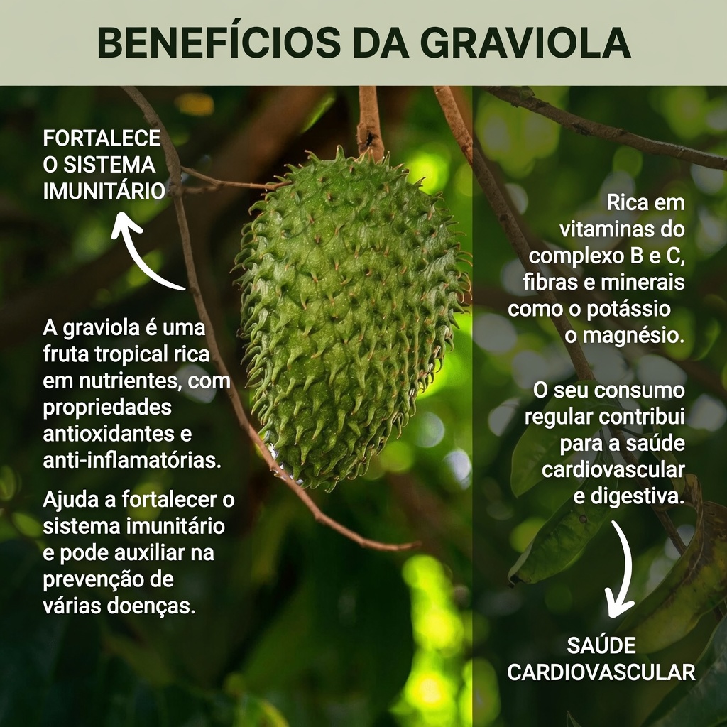 15 Bebidas Baseadas em Evidências que Podem Ajudar na Prevenção do Câncer por Meio da Dieta e do Estilo de Vida