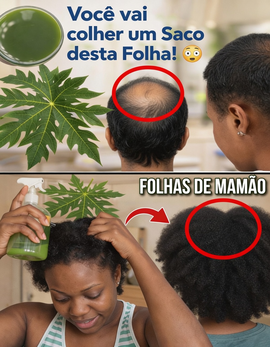 Explorando o Potencial das Folhas de Mamão para a Saúde Capilar: O que a Ciência Sugere