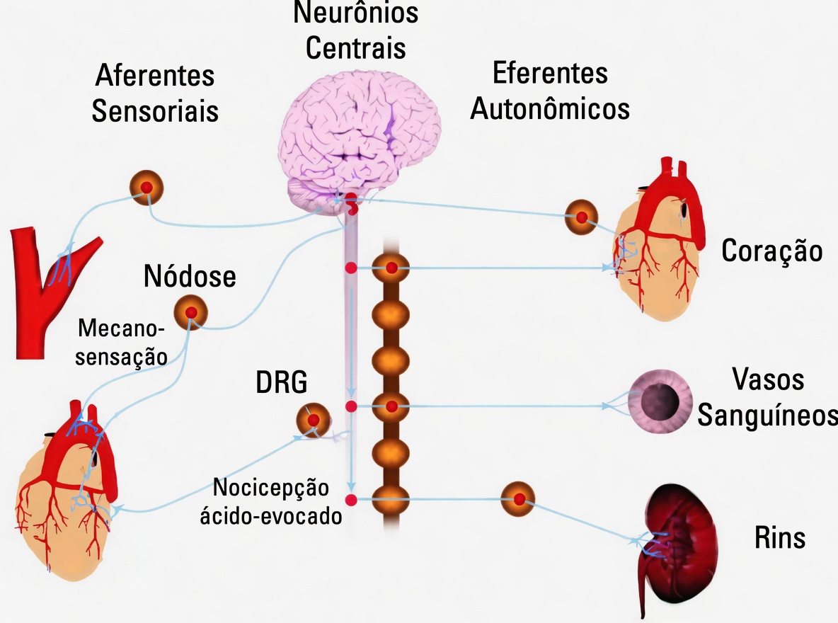 Por que as cãibras nas pernas à noite acontecem e hábitos simples que podem ajudar você a dormir melhor