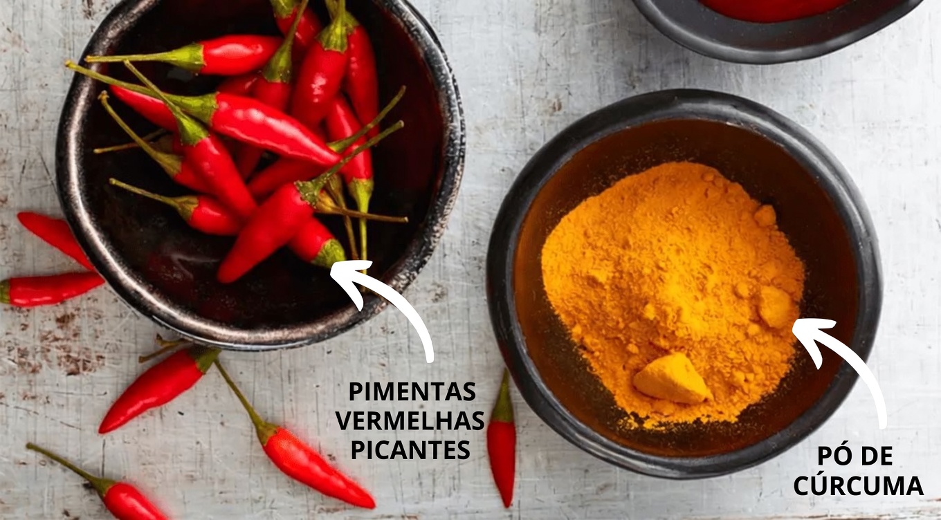 Por que você precisa fazer cocô imediatamente após comer e o que isso realmente significa para a sua saúde digestiva