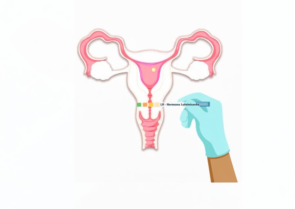 Percebendo um odor vaginal azedo? Descubra 4 razões comuns e hábitos diários simples para ajudar a manter o equilíbrio