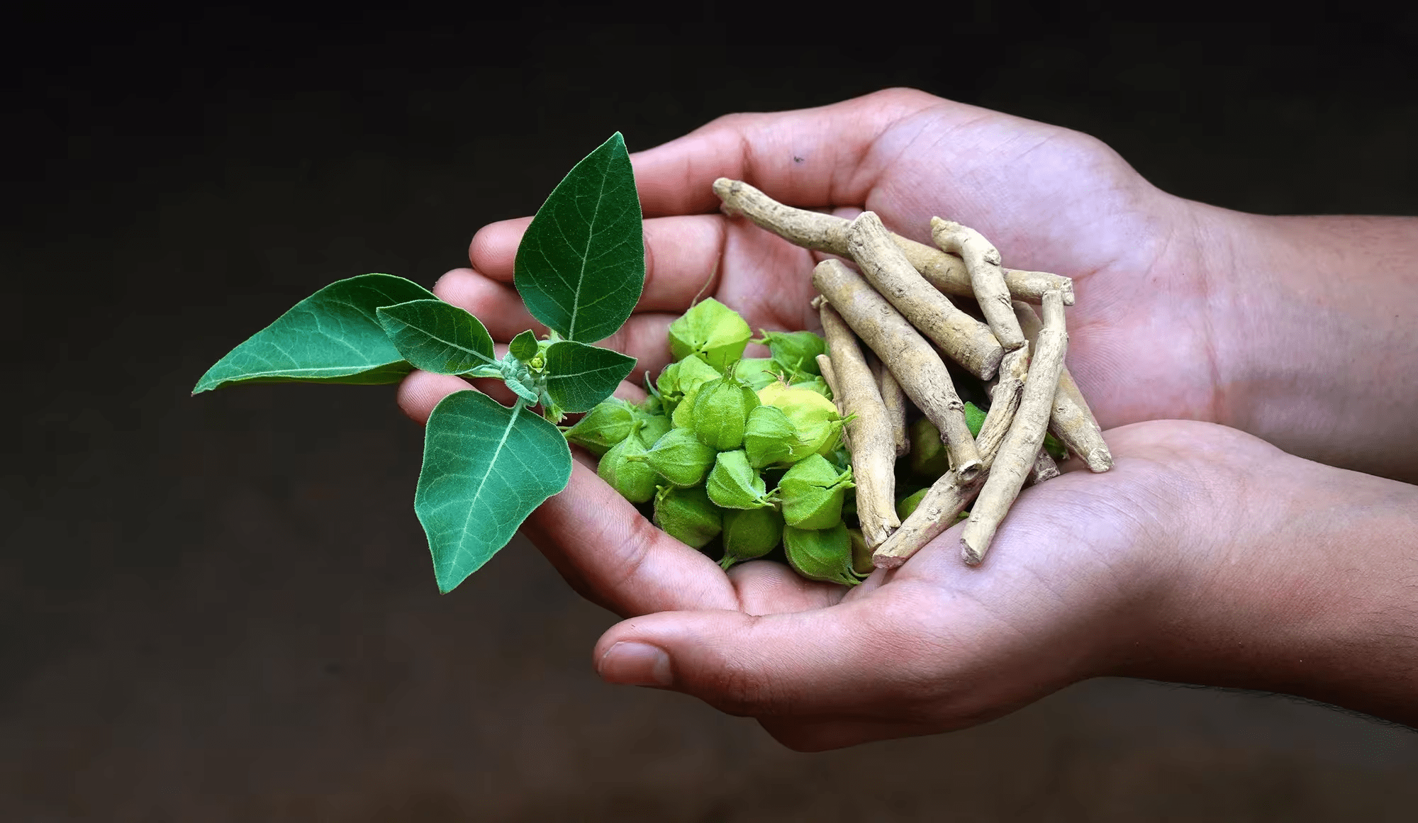 Por que este antigo ritual matinal está ganhando atenção entre homens que buscam vitalidade e energia diária