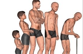 Sarcopenia: Entendendo a perda muscular após os 50 anos e maneiras simples de se manter forte