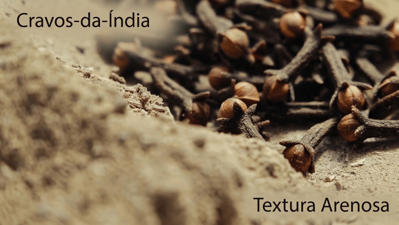 Cravo-da-índia e linhaça: explorando uma dupla natural simples para o conforto digestivo diário