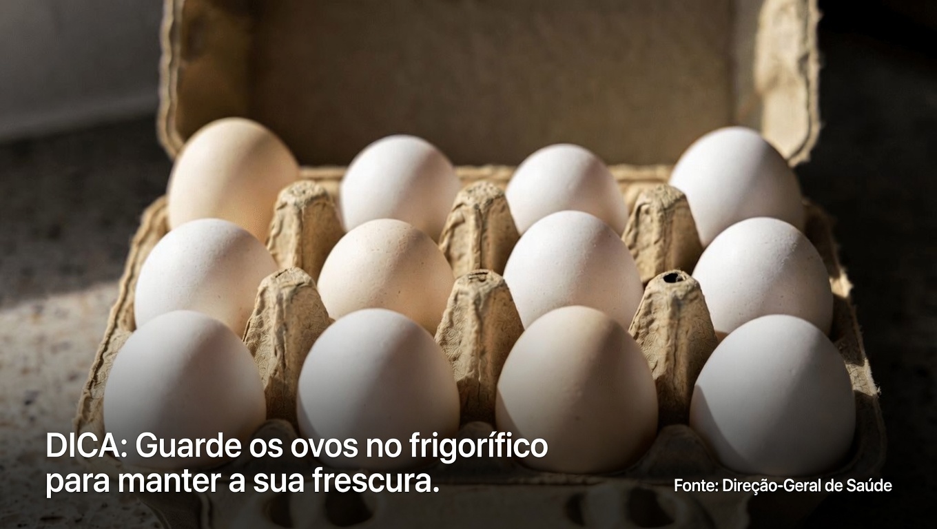 Idosos: 8 Fatos Importantes Sobre Ovos que Você Precisa Saber para uma Alimentação Mais Segura em 2025
