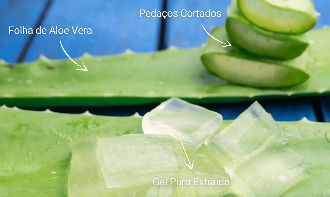 Uma Bebida Matinal Simples: Limão, Gengibre e Aloe Vera para Conforto Digestivo e Regularidade