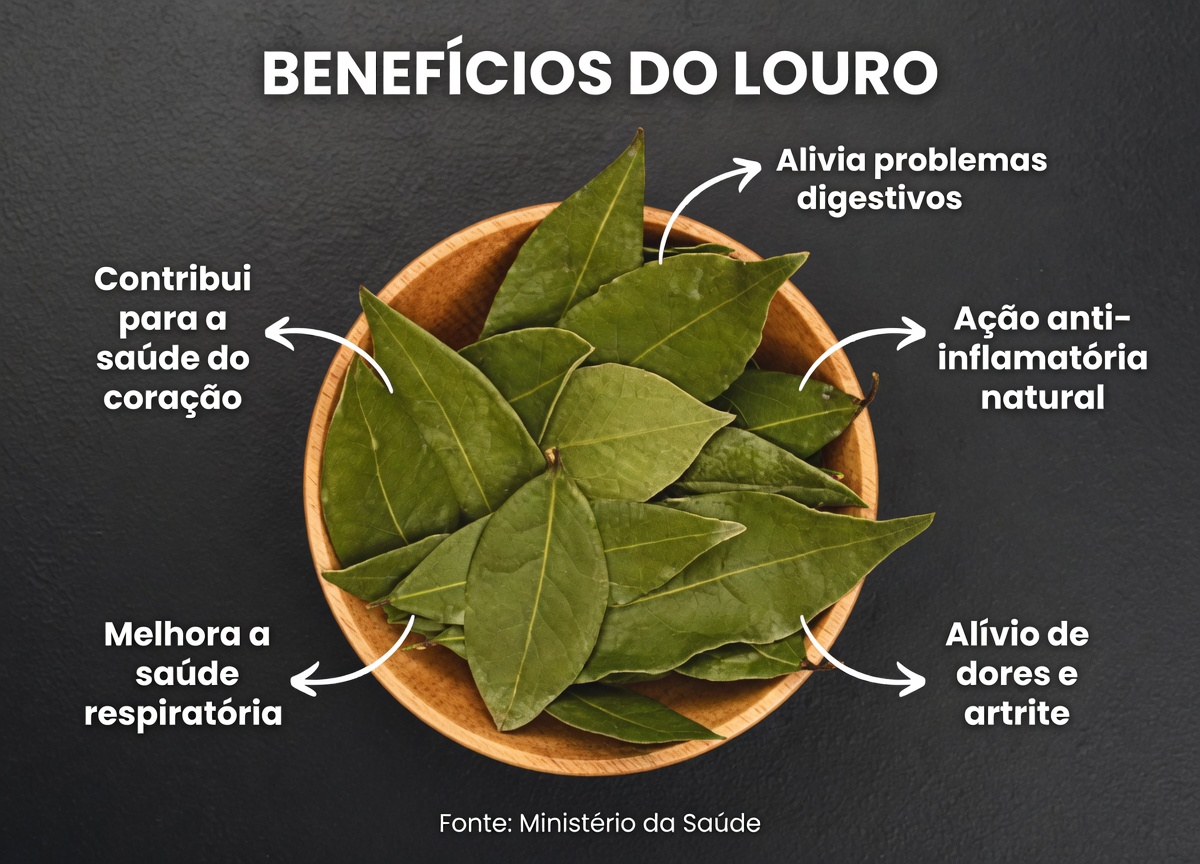 Uma Única Folha de Louro na Sua Cozinha Pode Ajudar a Melhorar a Glicose no Sangue, a Pressão e o Bem-Estar Após os 50?