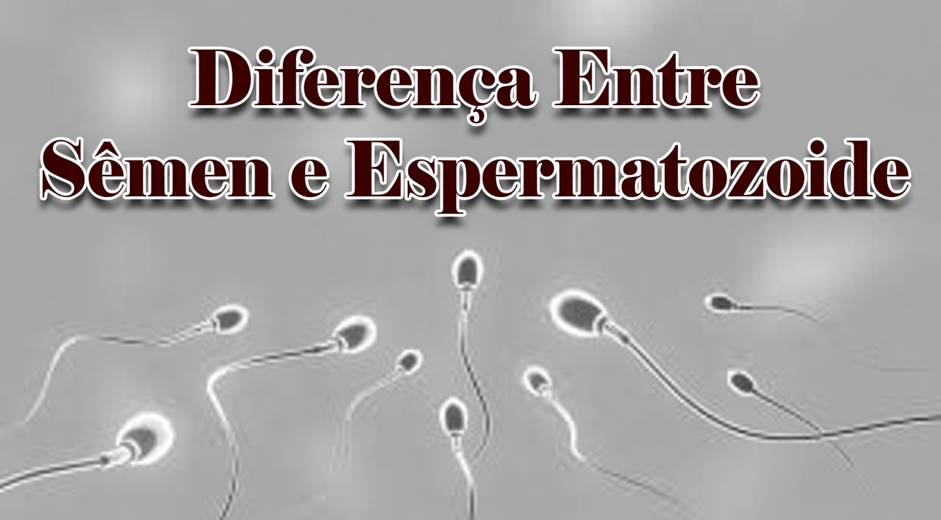Sêmen vs. espermatozoides: compreendendo as principais diferenças e o que isso significa para a saúde masculina