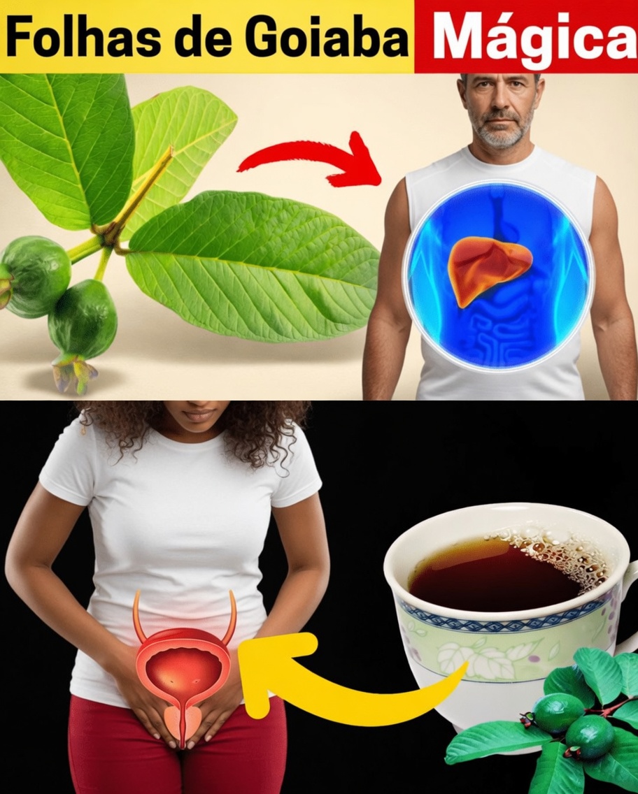 17 Maneiras Surpreendentes Pelas Quais as Folhas de Goiabeira Podem Apoiar Seu Bem-Estar Após os 40 – Uma Opção Natural Negligenciada