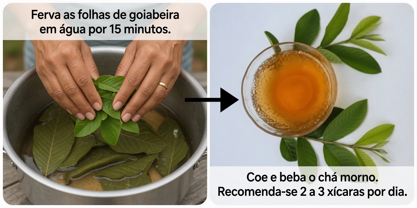 17 Maneiras Surpreendentes Pelas Quais as Folhas de Goiabeira Podem Apoiar Seu Bem-Estar Após os 40 – Uma Opção Natural Negligenciada