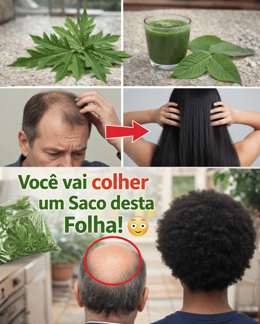 Explorando o potencial das folhas de mamão para a saúde capilar: o que a ciência sugere