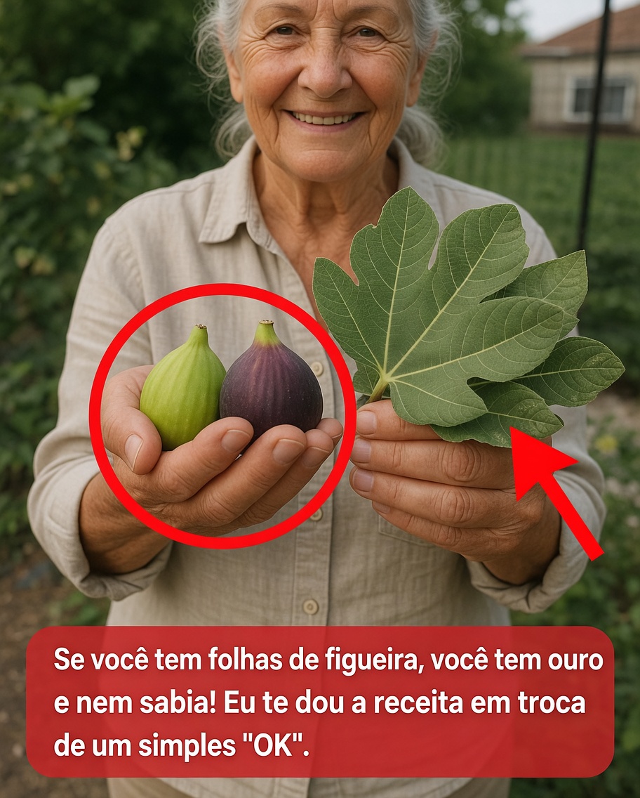 Os Surpreendentes Benefícios para a Saúde das Folhas de Figueira: O que a Ciência Diz sobre Essa Parte Negligenciada da Planta