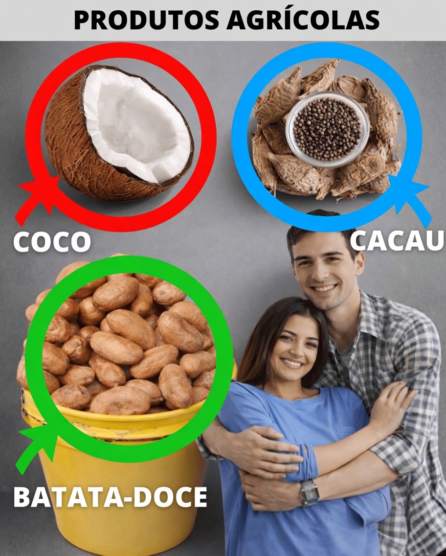 Desbloqueie o potencial do baobá, da moringa e do rooibos: como essas plantas africanas ancestrais podem ajudar a melhorar seu desempenho atlético