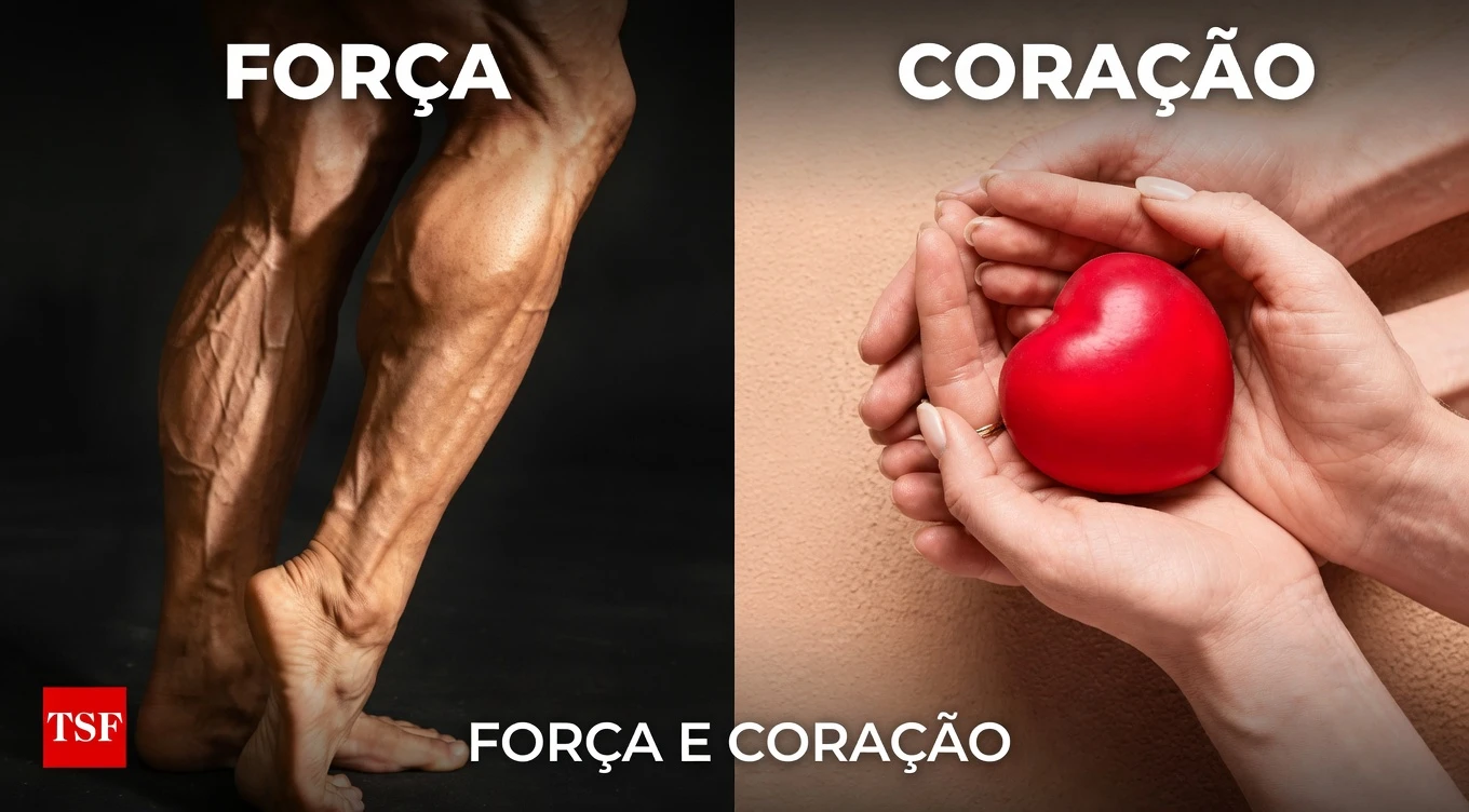 Seus músculos da panturrilha atuam como um segundo coração: maneiras simples de promover melhor circulação e saúde cardíaca