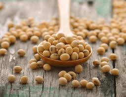 6 Alimentos que Podem Apoiar a Saúde da Próstata em Homens