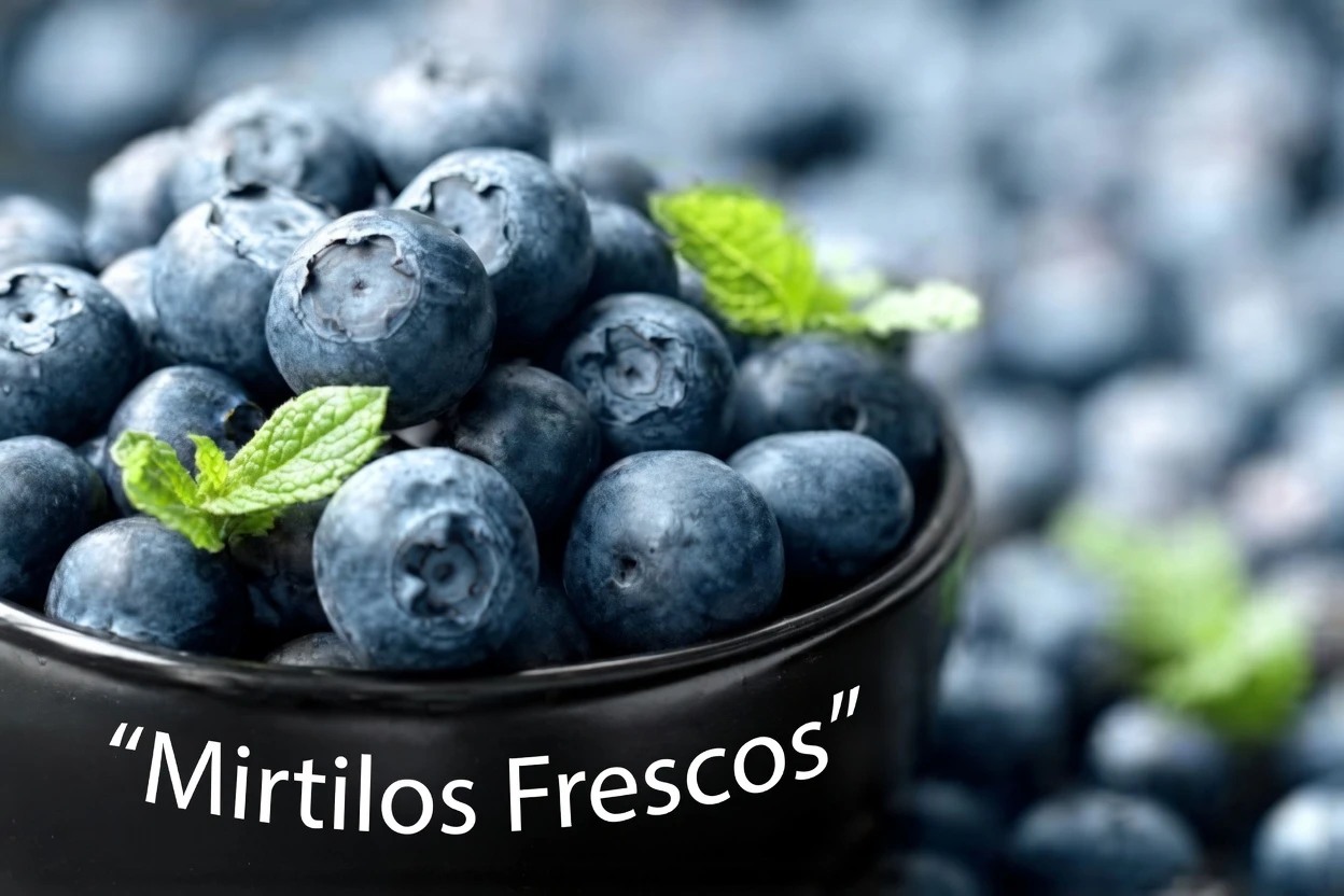5 Alimentos Poderosos que Ajudam a Manter a Saúde do Cérebro à Medida que Você Envelhece – Insights de Especialistas em Imagens Cerebrais