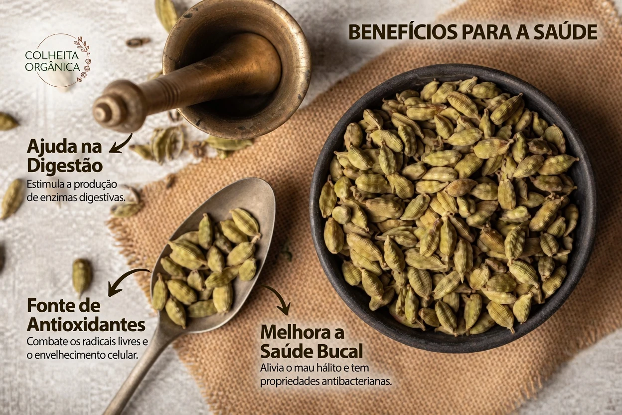 Os Poderosos Benefícios do Cardamomo Além da Cozinha: 18 Maneiras Surpreendentes de Como Ele Pode Apoiar o Seu Bem-Estar