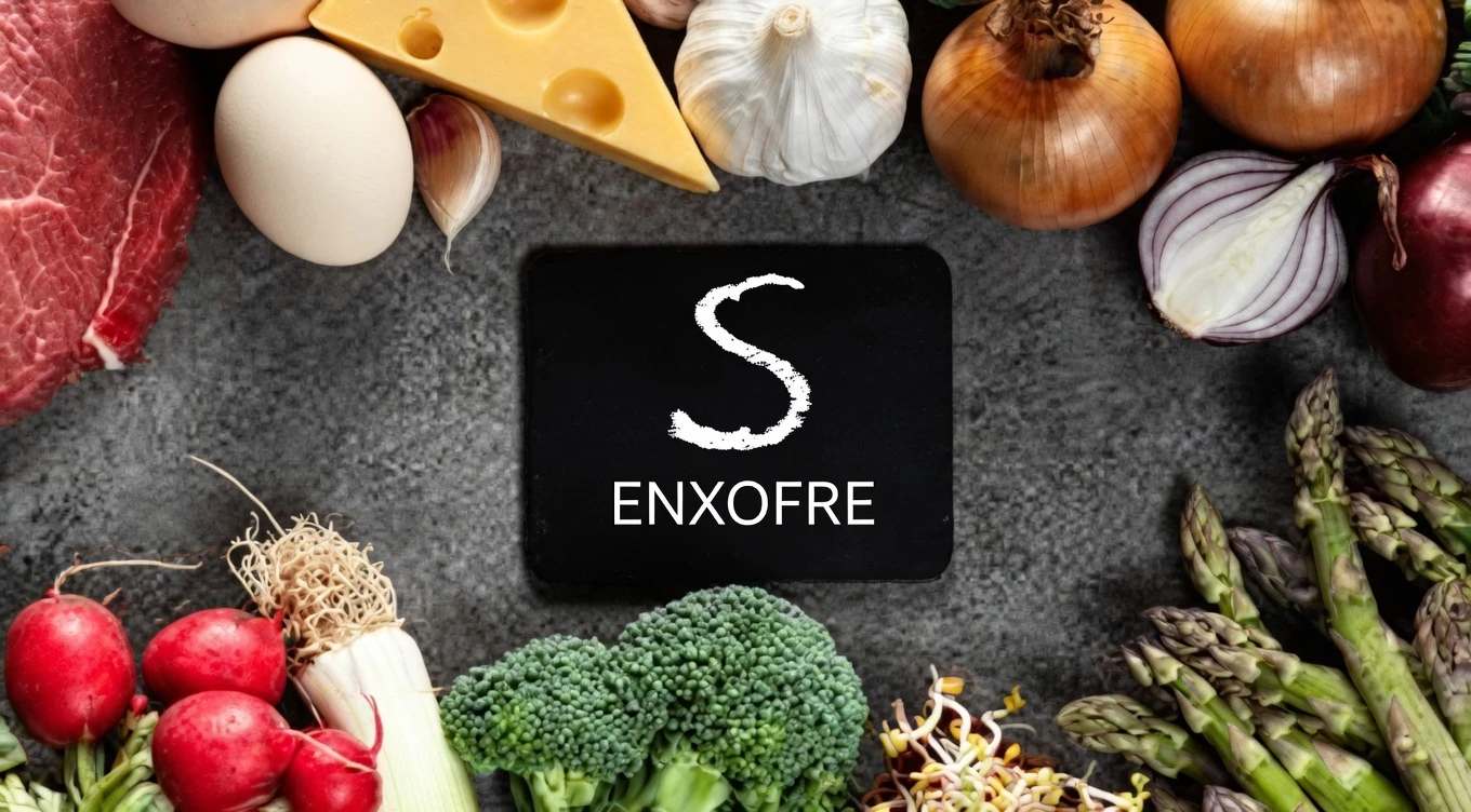 Alimentos naturais para apoiar a saúde da cartilagem do joelho: maneiras simples de nutrir suas articulações
