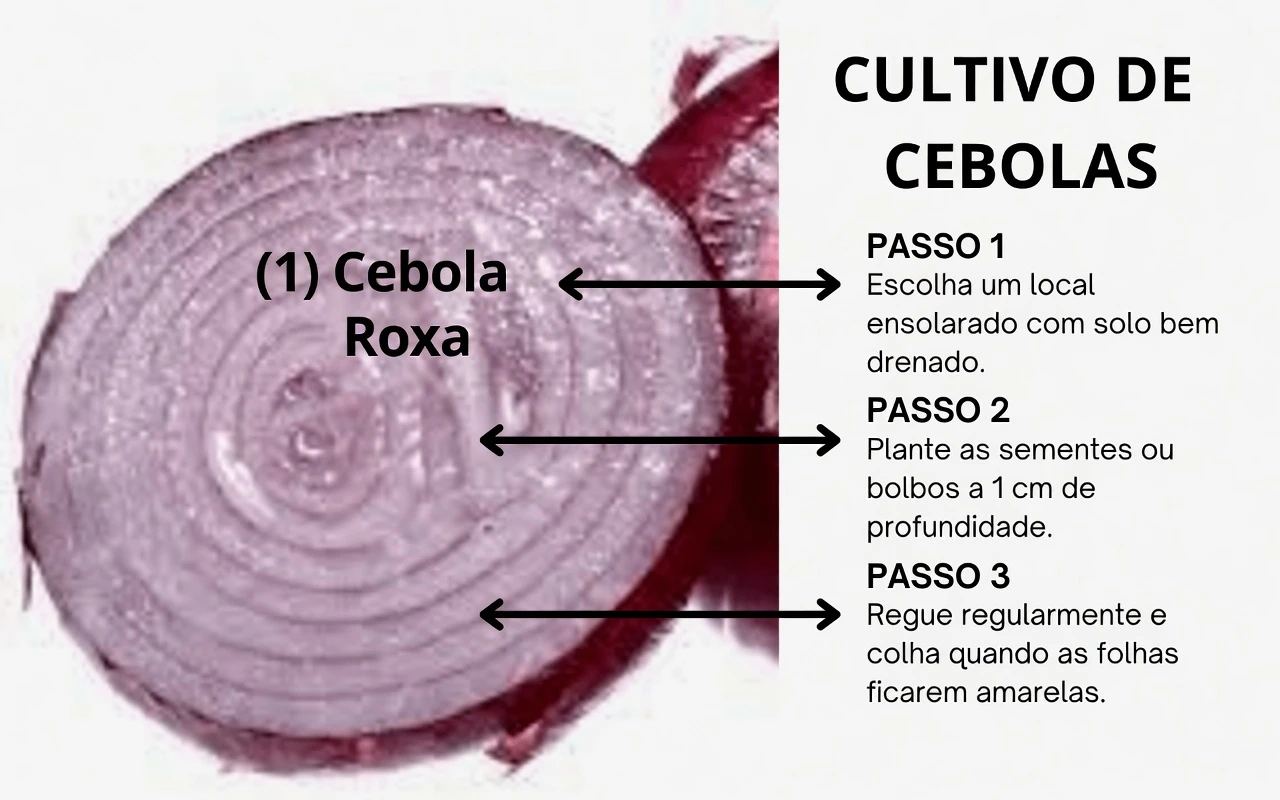 Será que estes dois vegetais do dia a dia podem ajudar a apoiar o colágeno do seu corpo e promover o conforto articular?