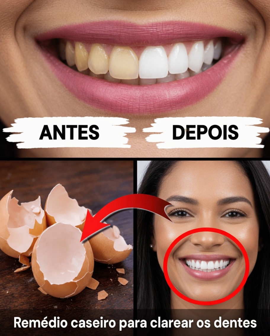 As Cascas de Ovos Podem Ajudar a Contribuir para Dentes Mais Brancos e com Aparência Mais Saudável? Uma Abordagem Natural para Explorar